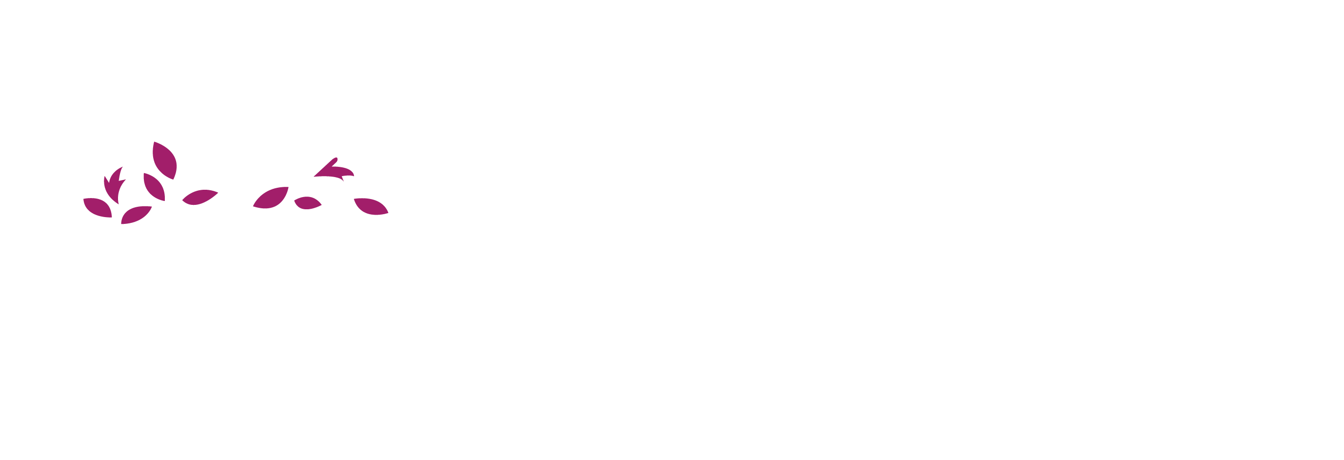 karhiio Logo